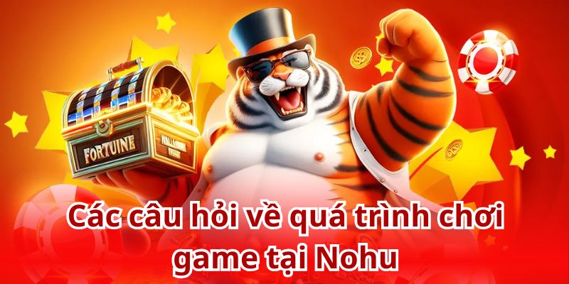 Q&A cùng chuyên gia Nohu về quá trình cá cược tại cổng game